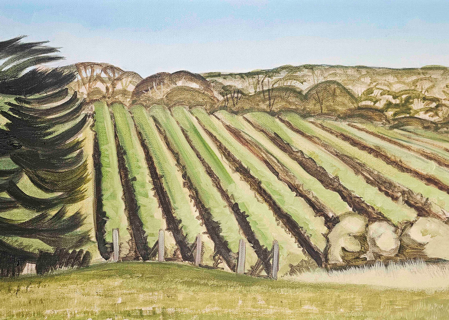 Red Hill Vines - print only