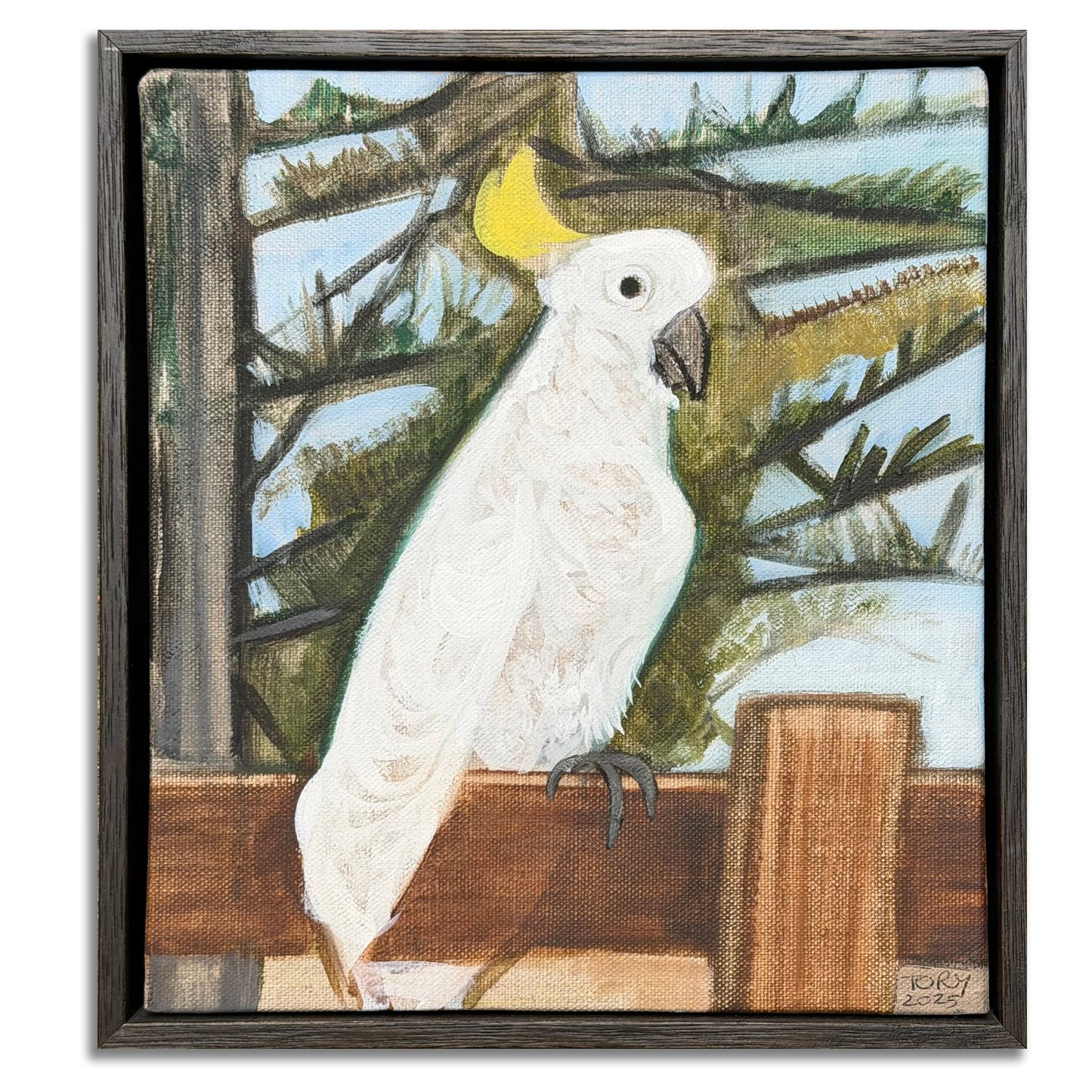 "Cockatoo"